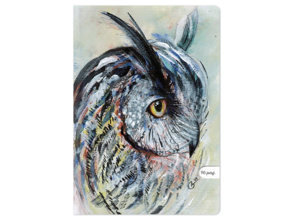 caiet-aperta-bufnita-a4-48-file-80g-dictando-3 Caiet Aperta, Bufnița, A4, 48 file, 80g, Dictando - imagine 1