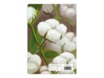 Caiet Aperta, Cotton soft, A5, 24 file, 90g, Tip 1 - imagine 3