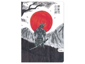 Caiet Aperta, Liniștea Samuraiului, A4, 48 file, 80g, Dictando