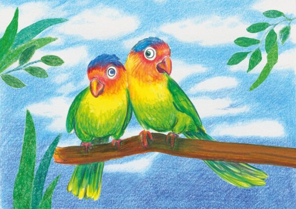 Creioane colorate triunghiulare + ascuțitoare eco Faber-Castell 12 culori/set