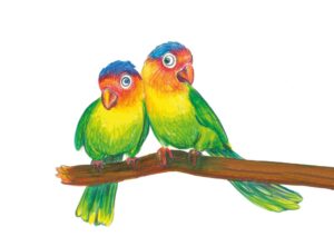 Creioane colorate triunghiulare + ascuțitoare eco Faber-Castell 24 culori/set