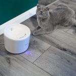 Dispenser apă animale WiFi Tellur Smart, 2L, Alb