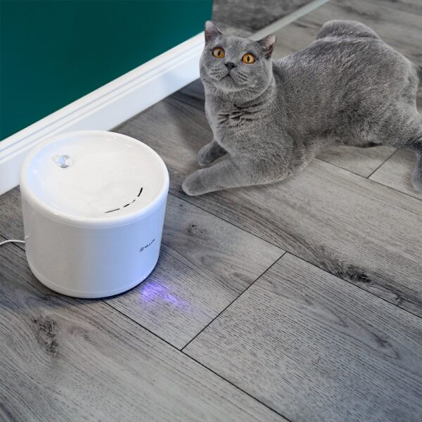 Dispenser apă animale WiFi Tellur Smart, 2L, Alb