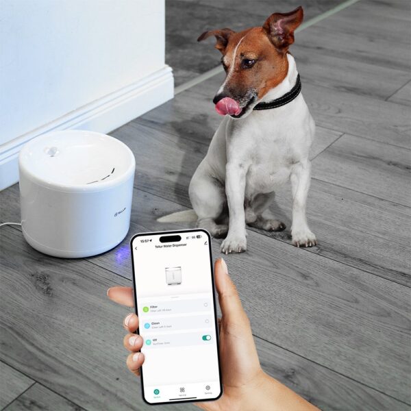 Dispenser apă animale WiFi Tellur Smart, 2L, Alb