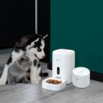 Dispenser apă animale WiFi Tellur Smart, 2L, Alb