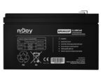 Acumulator nJoy GPL09122F 12V 30.55W/cell, Capacitate 32.00W/cell evalua - BTVACIUOCTB2FCW02B