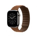 Apple Watch 42mm Caramel Magnetic Link - M/L - MGD94ZM/A