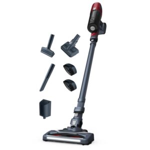 Aspirator vertical Rowenta X-Pert 6.60 Animal Care RH6878WO
