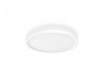 Aurelle Hue Panel RD 24.5W ceiling lamp - 000008719514382688 - imagine 2