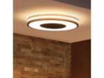 Being Hue ceiling lamp black - 000008719514341135 - imagine 2