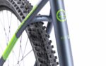 Bicicleta MTB Pegas Drumet Dinamic E-Bike. Gri Mat - E-DRUMETL290GRI