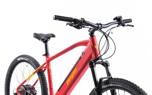 Bicicleta MTB Pegas Drumet Dinamic E-Bike. Rosu Mat - E-DRUMETM290ROS