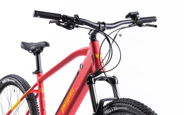 Bicicleta MTB Pegas Drumet Dinamic E-Bike. Rosu Mat - E-DRUMETM290ROS