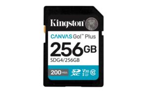 Card de Memorie SD Kingston 256GB Canvas GO PLUS CL10 - SDG4/256GB