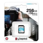 Card de Memorie SD Kingston Canvas GO Plus, 256GB, Class 10 - SDG3/256GB