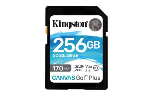 Card de Memorie SD Kingston Canvas GO Plus, 256GB, Class 10 - SDG3/256GB