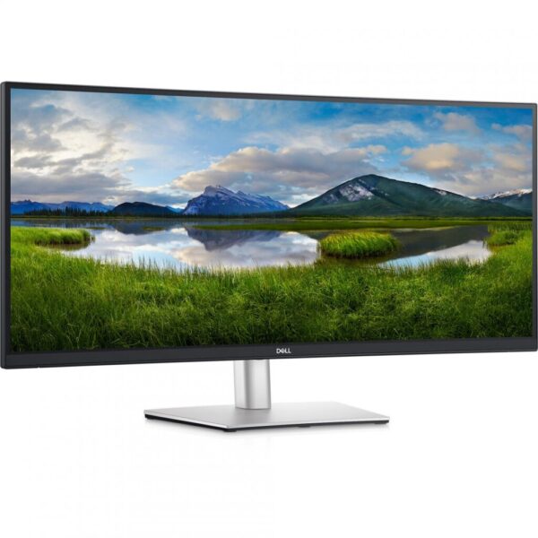 DL MONITOR 34" P3424WE 3440 x 1440