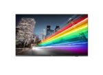 Ecran profesional Televizor Business TV Philips 50" B-Line - 50BFL2214/12