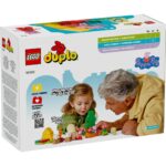 EXCURSIE CU CORTUL, LEGO 10452 - LEGO10452