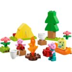 EXCURSIE CU CORTUL, LEGO 10452 - LEGO10452