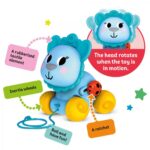 LAMA, JUCARIE DE TRAS - KH22/001