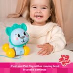 LAMA, JUCARIE DE TRAS - KH22/001