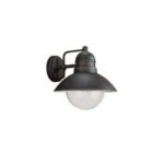 Lampa de perete de exterior Philips Vintage, Maro, Aluminiu si Sticla - 000008718696176832