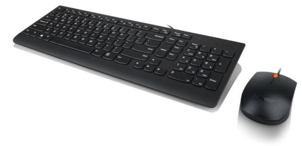 Lenovo 300 USB Keyboard - US English, Tip: Standard - GX30M39655