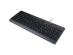 Lenovo Essential Wired Keyboard (Black) - US English 103P - 4Y41C68642