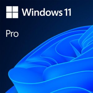 Licenta OEM Microsoft Windows 11 Pro 64 bit English - FQC-10528