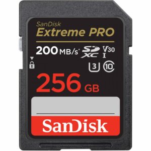 Micro Secure Digital Card SanDisk, 256GB, Clasa 10 - SDSDXXD-256G-GN4IN