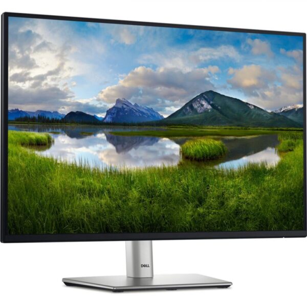 Monitor Dell 24" P2425 WUXGA 61.13 CM, 100Hz, 5Ms