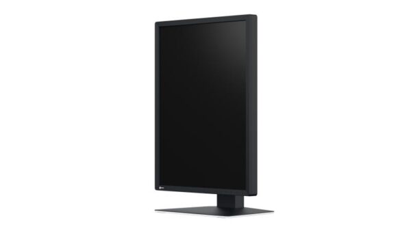 Monitor Eizo 21" MX217-SB