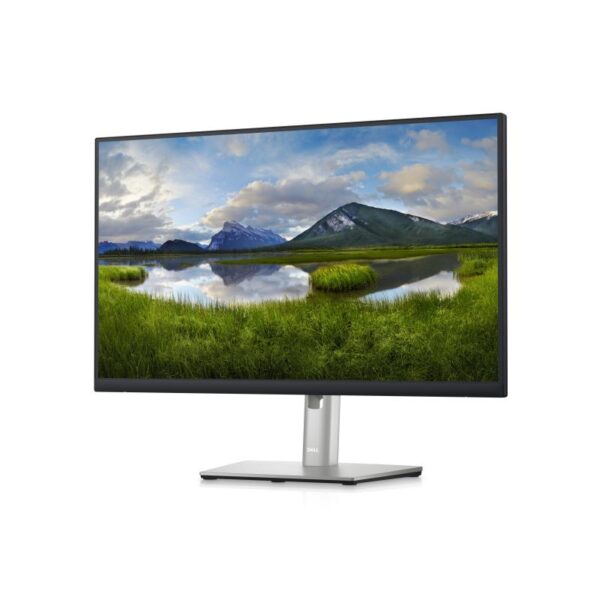 Monitor USB-C Dell 24" P2423DE, 60.45 cm, TFT LCD IPS