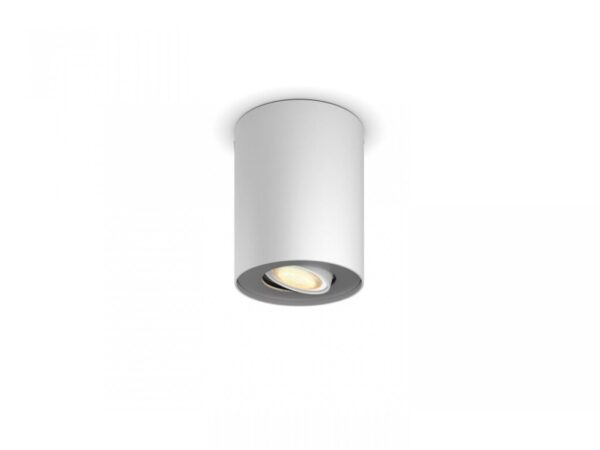 Pillar Hue ext. spot single spot white 1 - 000008719514338500