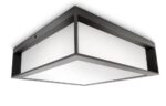 APLICA EXTERIOR PHILIPS SKIES E27 2X 14W - 000008719514385320