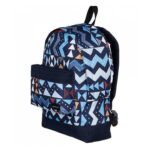 RUCSAC QUIKSILVER EVERYDAY POSTER BYH6 - EQYBP03337BYH6