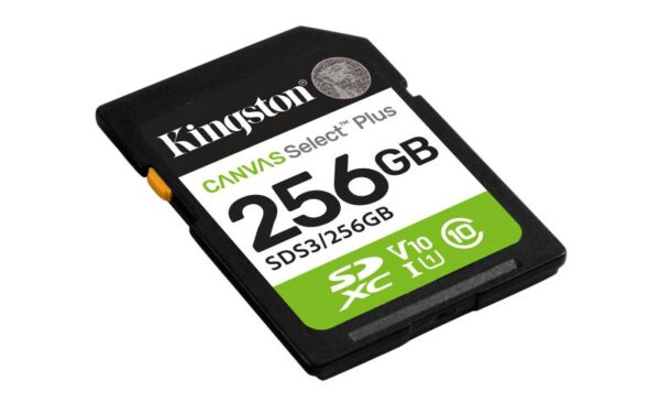 SDXC Kingston, 64GB, Select Plus, Clasa 10 UHS-I Performance - SDS3/256GB