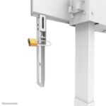 Stand motorizat Neomounts by Newstar WL55-875WH1 100" 110kg VESA 800x600mm