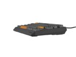 Tastatura gaming mecanica cu fir Genesis Thor 230 TKL - NKG-2082