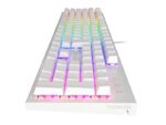 Tastatura gaming mecanica cu fir Genesis Thor 303, iluminare RGB - NKG-1861