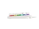 Tastatura gaming mecanica cu fir Genesis Thor 303, iluminare RGB - NKG-1861