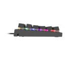 Tastatura gaming mecanica cu fir Genesis Thor 303, iluminare RGB - NKG-1877