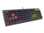 Tastatura gaming mecanica cu fir Genesis Thor 303, iluminare RGB - NKG-1877