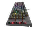 Tastatura gaming mecanica cu fir Genesis Thor 303, iluminare RGB - NKG-1877