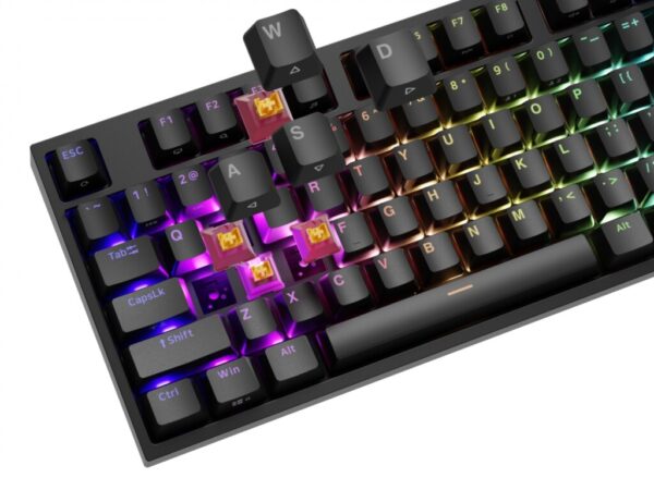 Tastatura gaming mecanica cu fir Genesis Thor 404, iluminare RGB - NKG-2298