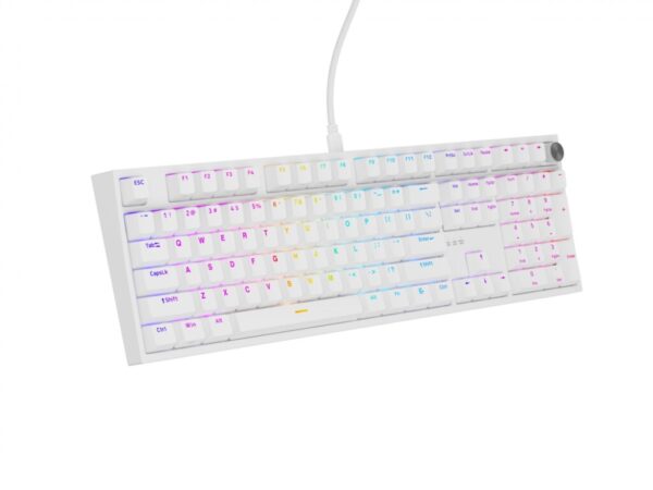 Tastatura gaming mecanica cu fir Genesis Thor 404, iluminare RGB - NKG-2300