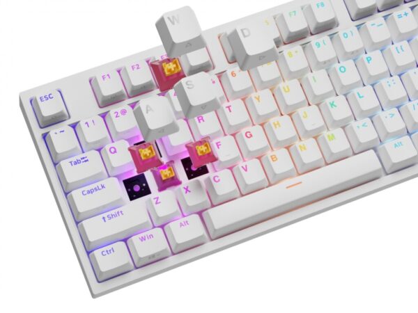 Tastatura gaming mecanica cu fir Genesis Thor 404, iluminare RGB - NKG-2300
