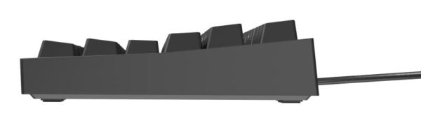 Tastatura gaming mecanica cu fir Genesis Thor 404 TKL - NKG-2069