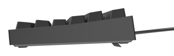 Tastatura gaming mecanica cu fir Genesis Thor 404 TKL - NKG-2069